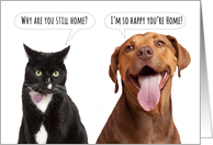 Thinking of you Cat Vs Dog Coronavirus Lockdown Humor card