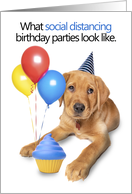 Happy Birthday Cute Puppy Coronavirus Social Distancing Humor card