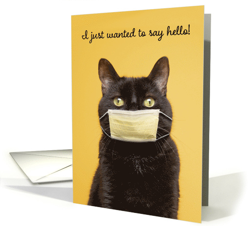 Hello Black Cat in Face Mask Coronavirus Humor card (1610376)