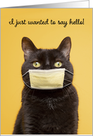 Hello Black Cat in Face Mask Coronavirus Humor card