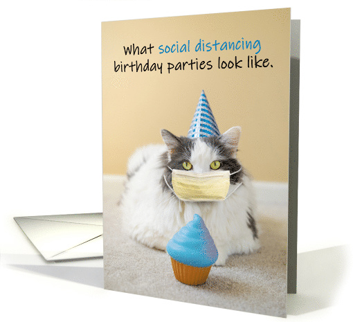 Happy Birthday For Anyone Social Distancing Coronavirus Cat Humor card