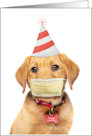 Happy Birthday For Anyone Puppy in Face Mask Coronavirus Humor card