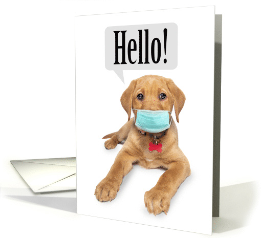 Thinking of You Cute Puppy in Face Mask Coronavirus Humor card
