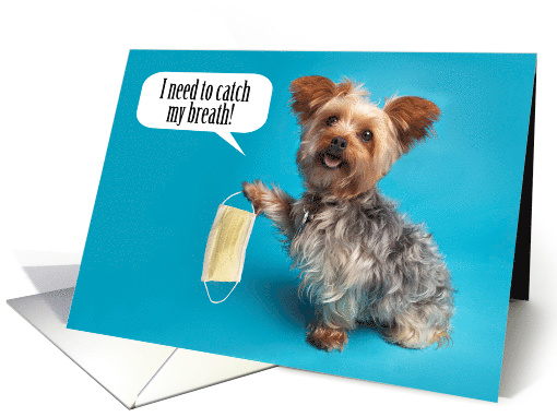 Thinking of You Yorkie Dog Holding Face Mask Coronavirus Humor card