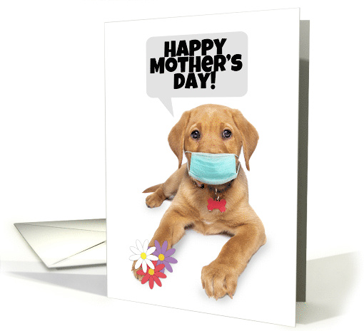 Hapy Mother's Day Cute Puppy Coronavirus Social Distancing Humor card