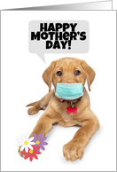 Hapy Mother’s Day Cute Puppy Coronavirus Social Distancing Humor card