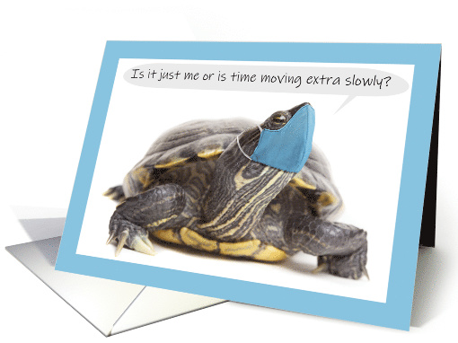 Thinking of You Turtle Face Mask Coronavirus Social... (1612872)
