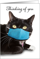 Thinking of You Cat Face Mask Coronavirus Social Distancing Humor card