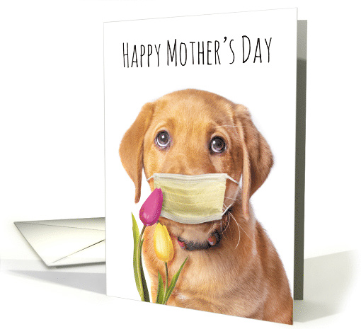 Happy Mother's Day Puppy in Face Mask Coronavirus Lockdown Humor card