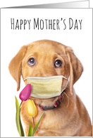 Happy Mother’s Day Puppy in Face Mask Coronavirus Lockdown Humor card