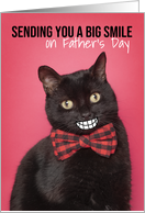 Happy Father’s Day Cat With Big Smile Humor card