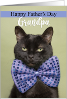 Happy Father’s Day Grandpa Cool Cat in Big Bow Tie Humor card