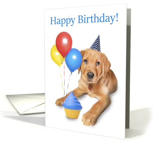 Happy Birthday Cute Labrador Puppy With Balloons and Cupcake card