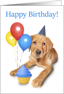 Happy Birthday Cute Labrador Puppy With Balloons and Cupcake card