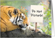 Happy Birthday Tiger King With Do Not Disturb Sign card