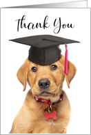 Thank You For The Graduation Gift Cute Puppy in Grad Cap card