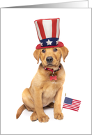 Happy Flag Day Cute Patriotic Puppy card