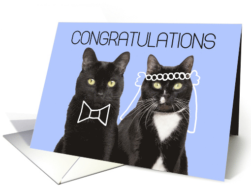 Congratulations on Your Wedding Cute Cat Couple Humor card (1625178)