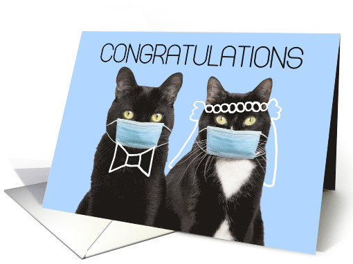 Wedding Congratulations Cats in Coronavirus Face Masks Humor card