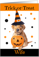 Happy Halloween Wife Cute Puppy in Costume Humor card