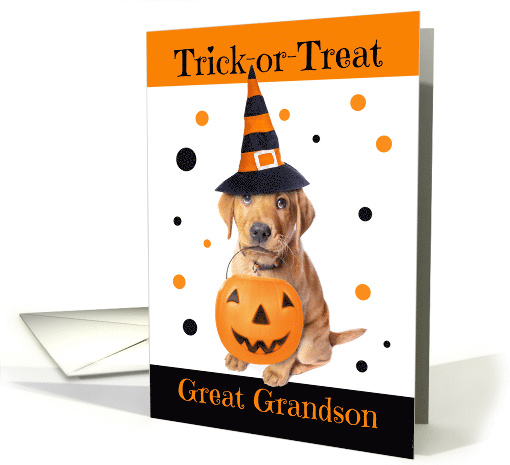 Happy Halloween Great Grandson Cute Puppy in Costume Humor card