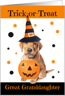 Happy Halloween Great Granddaughter Cute Puppy in Costume Humor card