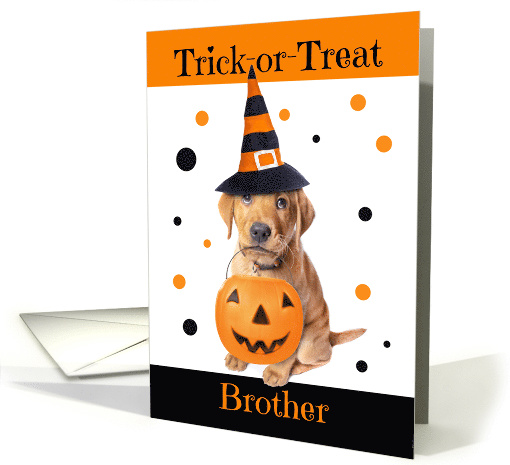 Happy Halloween Brother Cute Puppy in Costume Humor card (1626750)