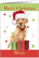 Merry Christmas Mom Cute Lab Puppy in Santa Hat Humor card