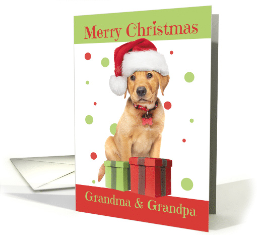 Merry Christmas Grandparents Cute Lab Puppy in Santa Hat Humor card