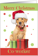 Merry Christmas Co-Worker Cute Lab Puppy in Santa Hat Humor card