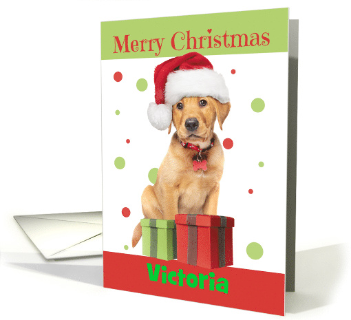 Merry Christmas Custom Name Cute Lab Puppy in Santa Hat Humor card