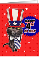 Happy Fourth of July Cute Illustrated Patriotic Cat Humor card