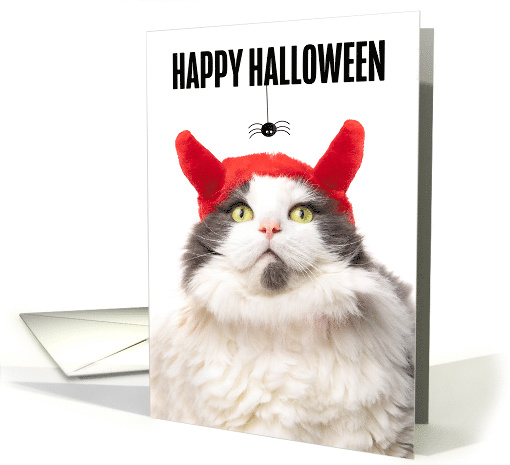 Happy Halloween Cat in Devil Horns Looking at Spider Humor card