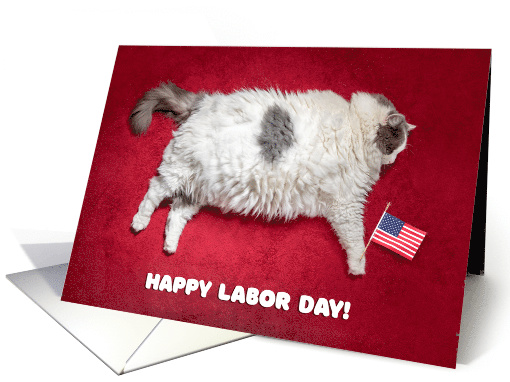 Happy Labor Day Funny Fat Sleeping Cat Humor card (1630100)