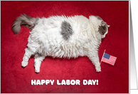 Happy Labor Day Funny Fat Sleeping Cat Humor card