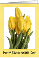 Happy Grandparents Day Yellow Tulips card