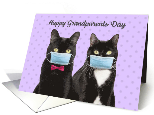 Happy Grandparents Day Cute Cat Couple In Coronavirus Face Masks card