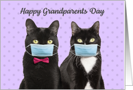 Happy Grandparents Day Cute Cat Couple In Coronavirus Face Masks card