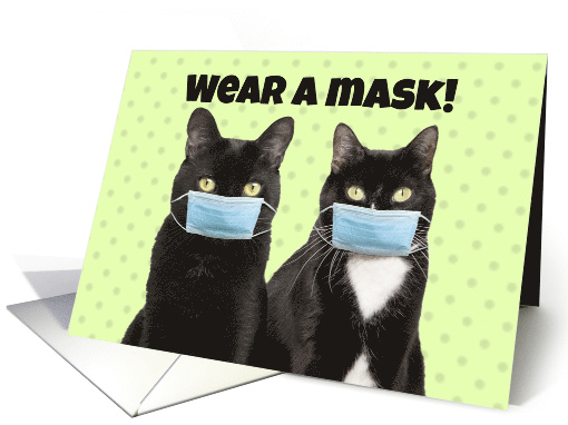 Wear A Mask Funny Cats in Coronavirus Face Masks card (1630442)