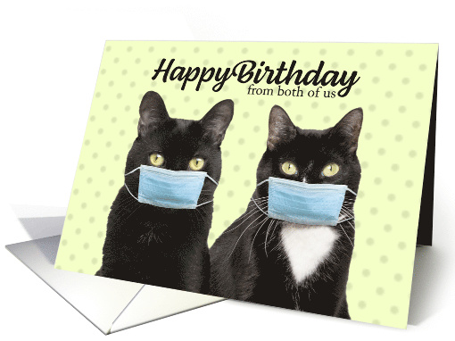 Happy Birthday From Both Cats in Coronavirus Face Masks card (1630804)