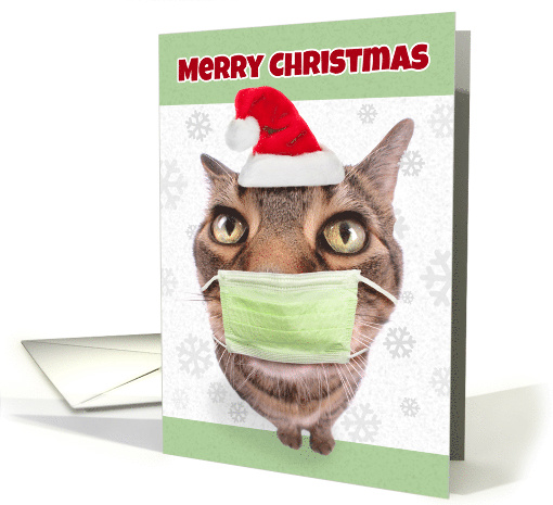 Merry Christmas Funny Tabby Cat in Coronavirus Face Mask card