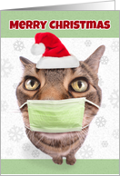 Merry Christmas Funny Tabby Cat in Coronavirus Face Mask card