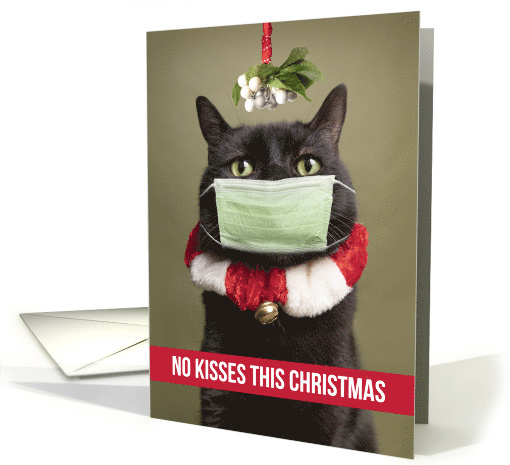 Merry Christmas Cat Under Mistletoe in Coronavirus Face... (1632136)