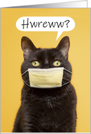 How Are You Cat Talking Through Face Mask Coronavirus Humor card