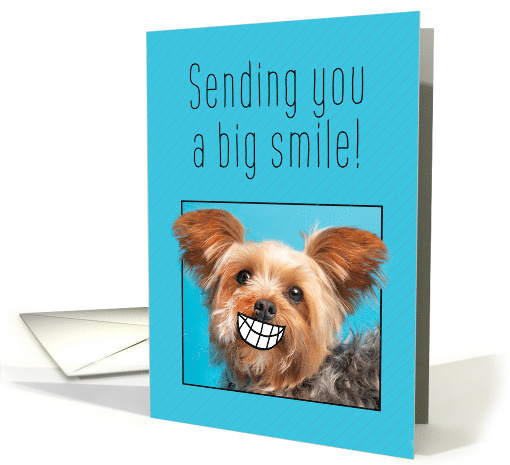 Thinking of You Big Smile Yorkie Coronavirus Pandemic Humor card