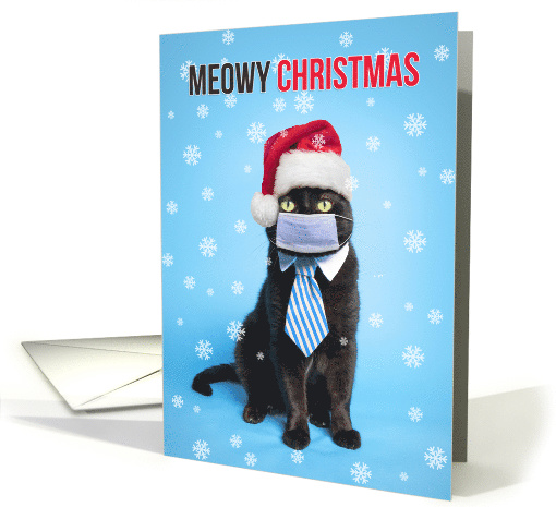 Merry Christmas Cat in Face Mask Santa Hat and Tie Humor card