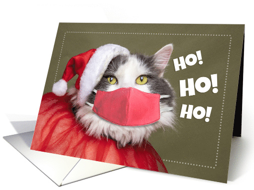 Merry Christmas Cat in Santa Outfit with Coronavirus Face... (1636054)