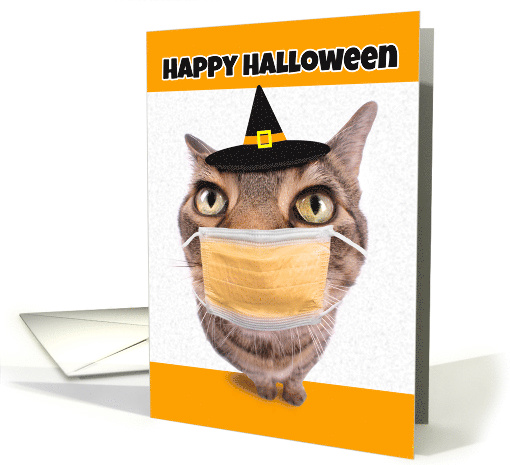 Happy Halloween Tabby Cat in Coronavirus Face Mask Humor card