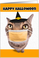 Happy Halloween Tabby Cat in Coronavirus Face Mask Humor card