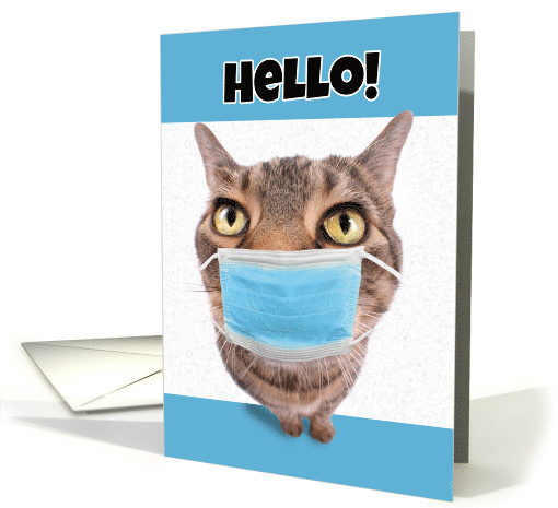Hello Thinking of You Tabby Cat in Coronavirus Face Mask Humor card